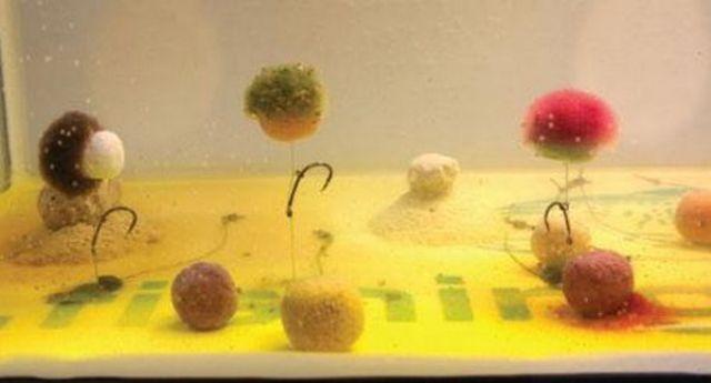 tehnici de pescuit la crap - pop-up-uri-in-suspensie.jpg